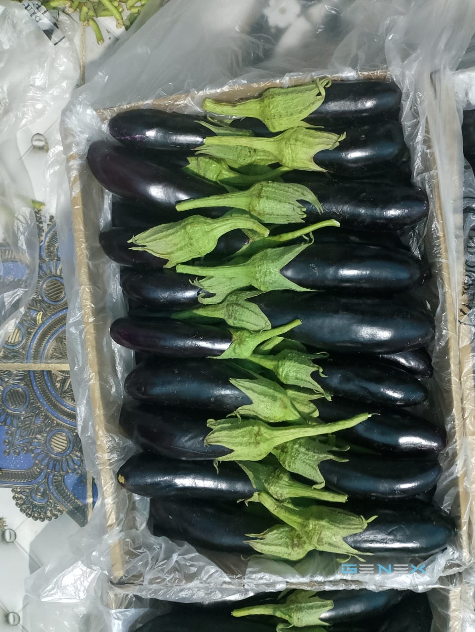 باذنجان