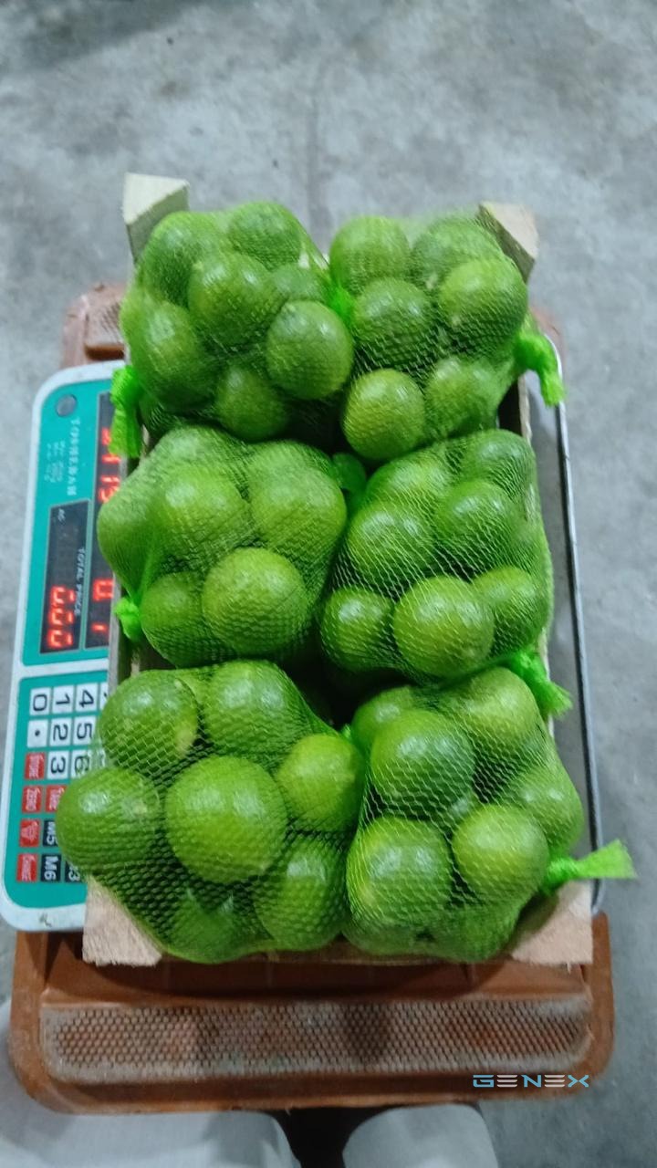 ليمون أخضر (لايم)
