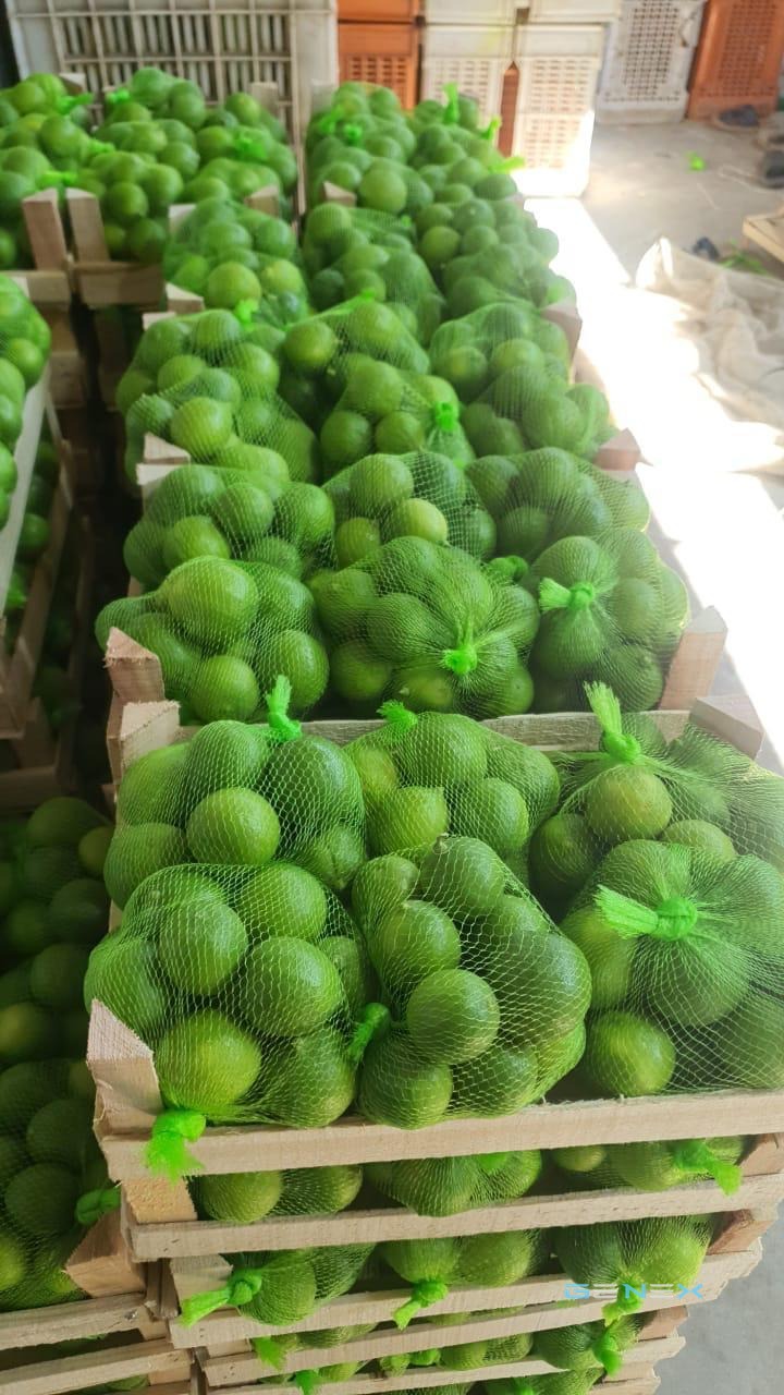 ليمون أخضر (لايم) 3