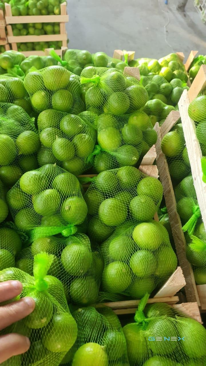 ليمون أخضر (لايم) 4