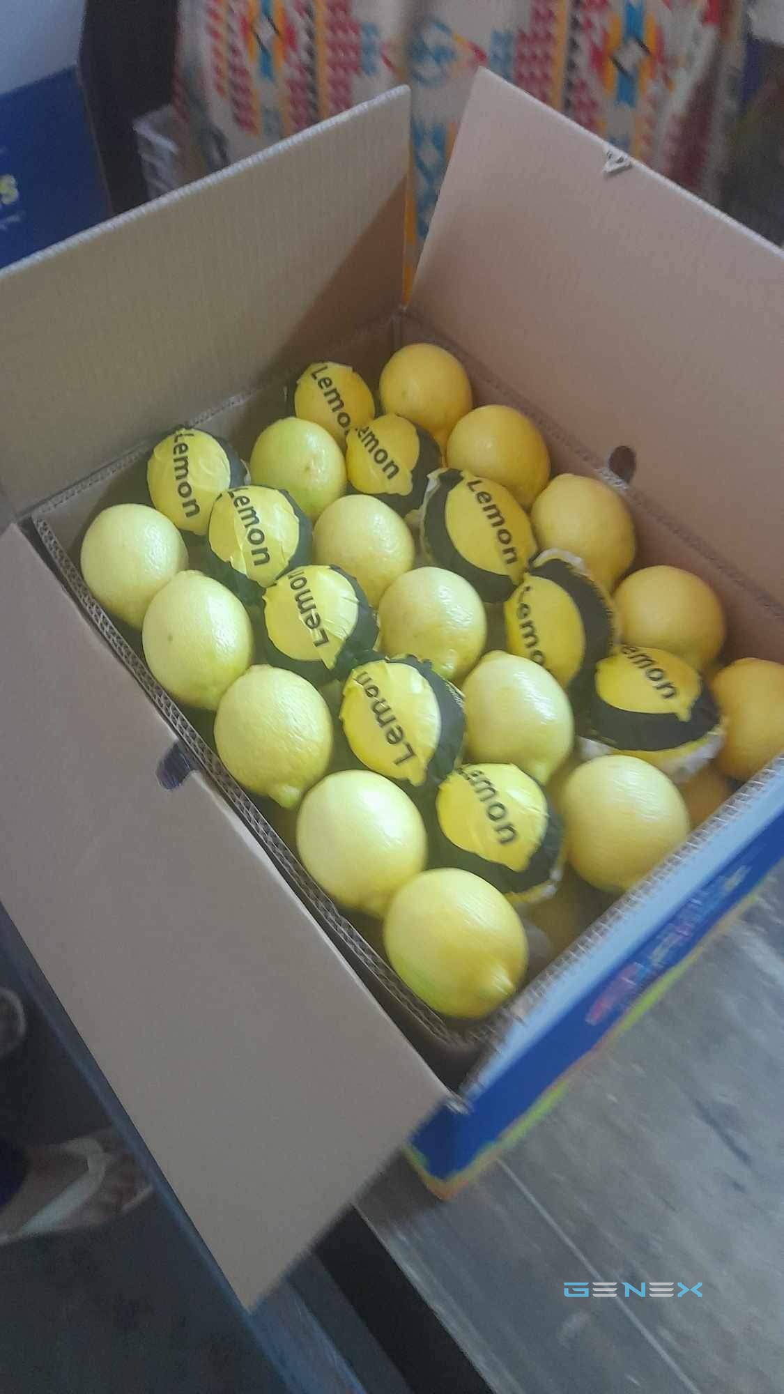ليمون 7
