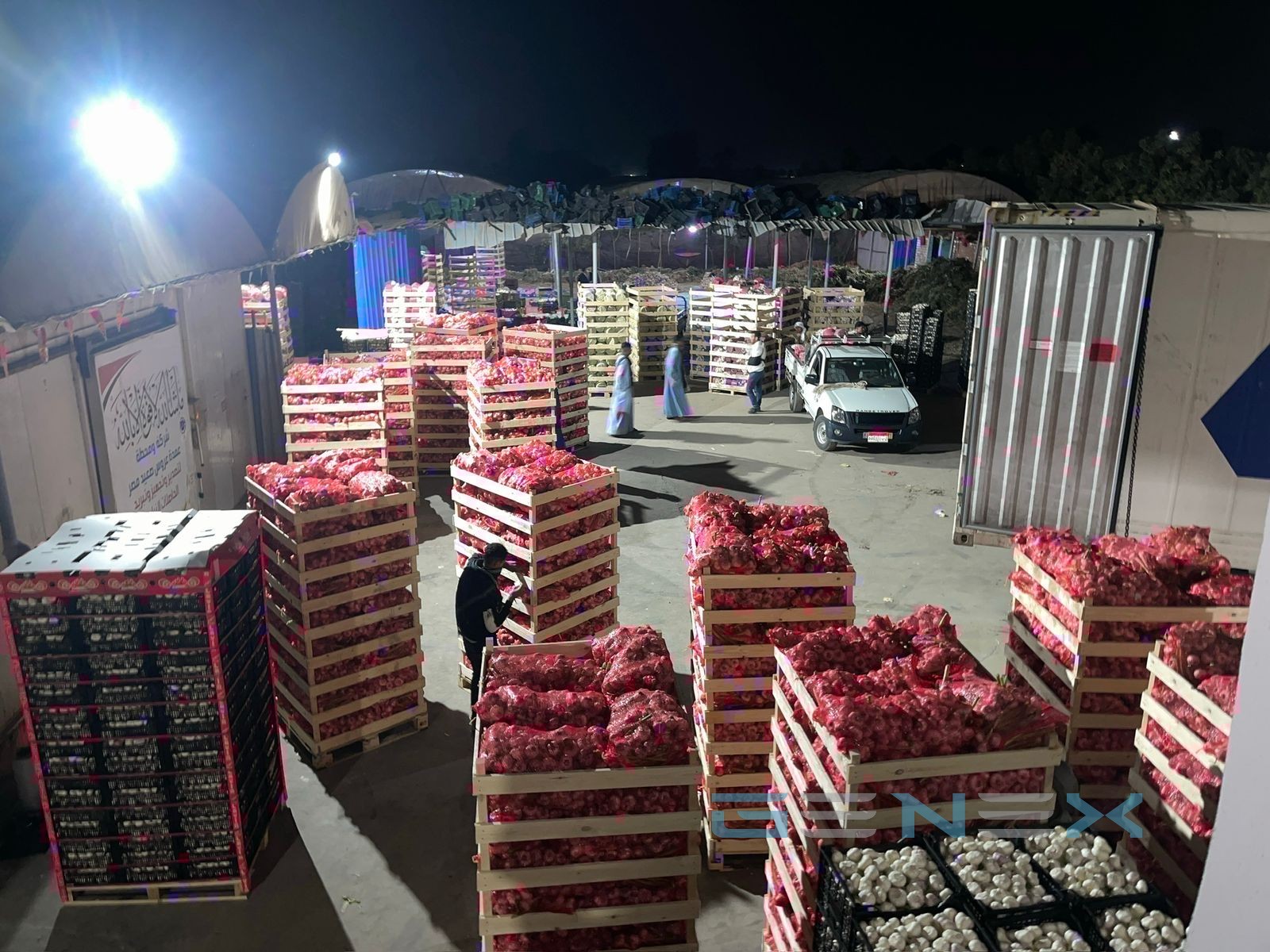 Onion export packing yard