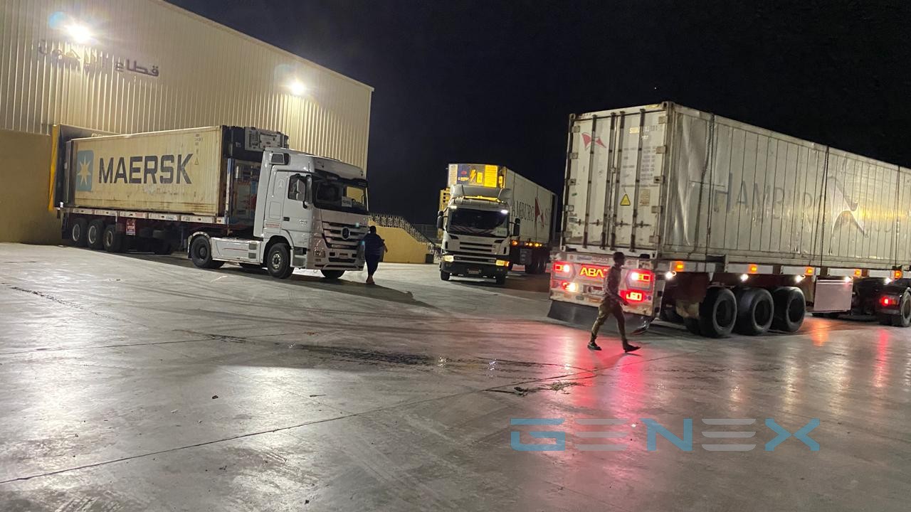 Refrigerated containers loading (Maersk & Hamburg Süd)